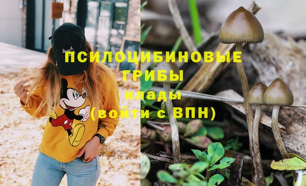 бошки Нефтегорск