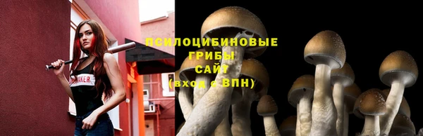 хмурый Нефтекумск