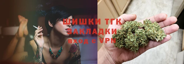 прущий лед Новозыбков