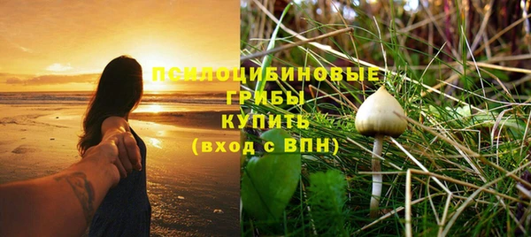 хмурый Нефтекумск