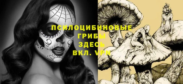 прущая мука Нея