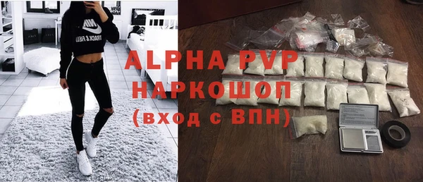 хмурый Нефтекумск