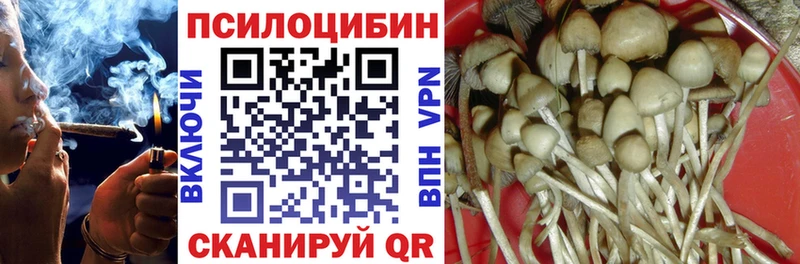 Псилоцибиновые грибы мухоморы Копейск