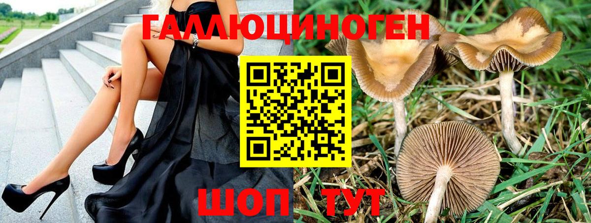 Псилоцибиновые грибы GOLDEN TEACHER  Вход с VPN  Копейск  хочу наркоту  Псилоцибиновые грибы Psilocybe 