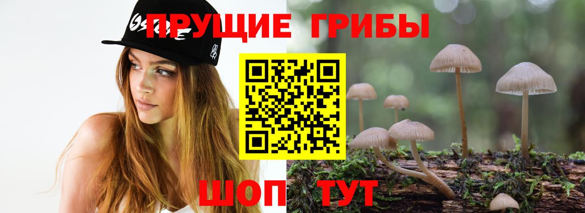 Псилоцибиновые грибы Psilocybine cubensis  Копейск 